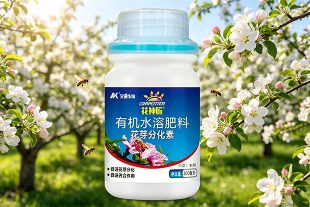 花神匠—花芽分化素
