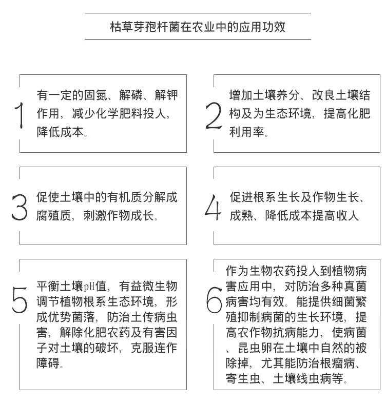 膨果龙淘宝详情页_09