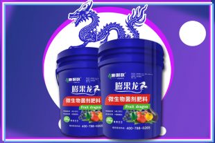 膨果龙——微生物菌剂肥料