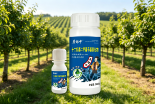 十二烷基二甲基苄基氯化物20g和200g