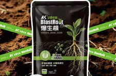 爆生根—3天爆根 5天根满地