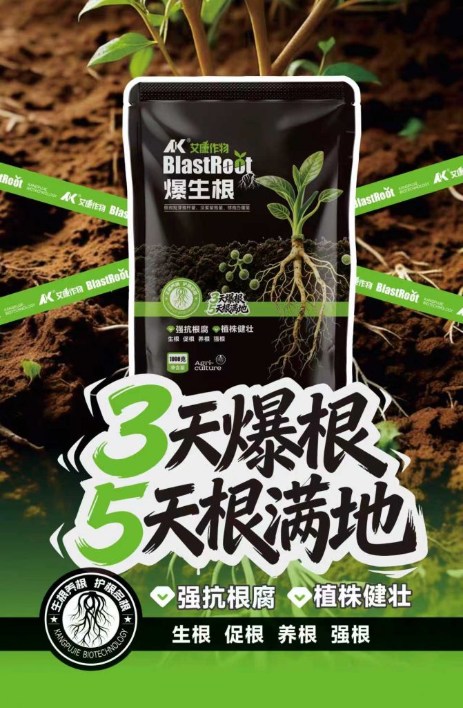 爆生根1㎏